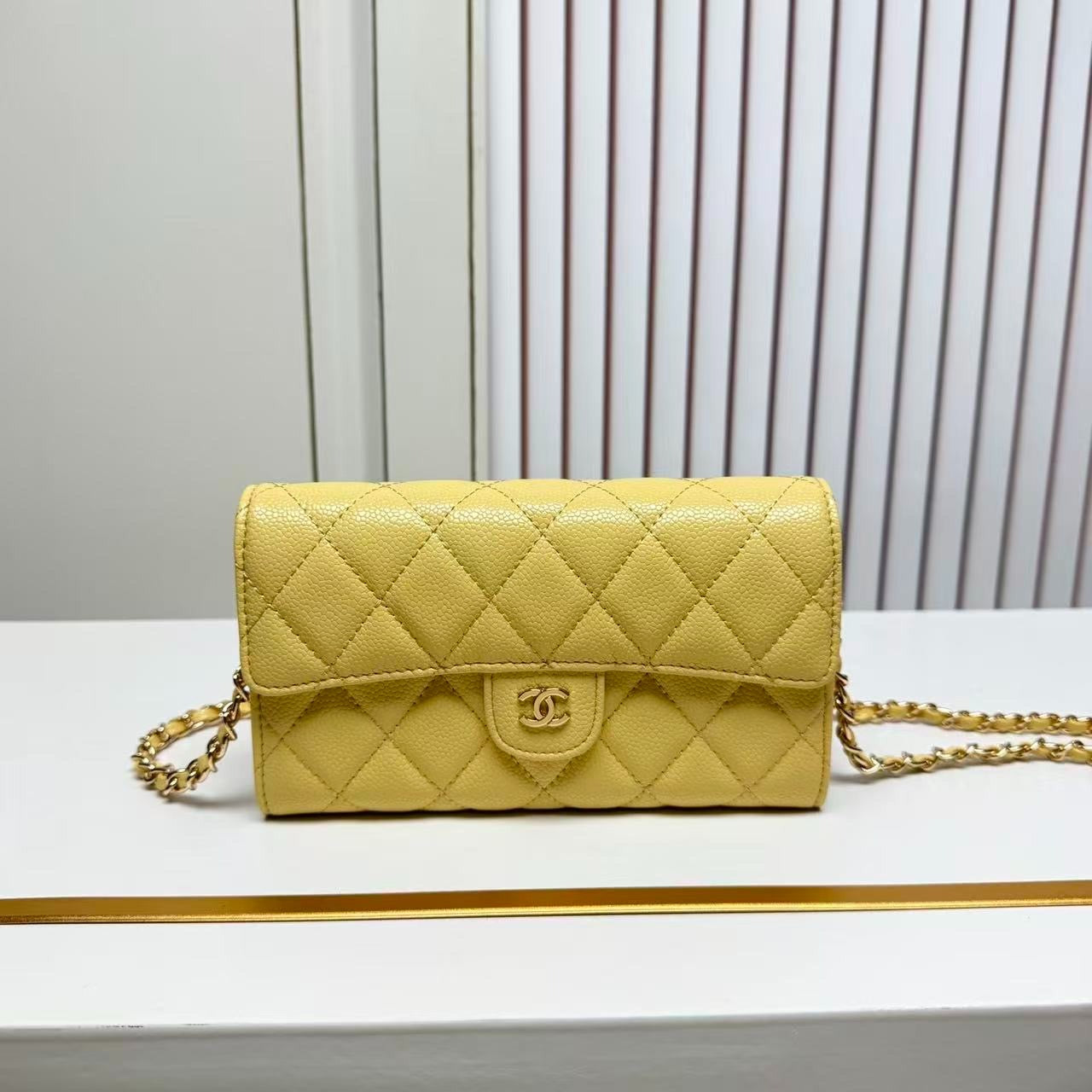 Pochette CC Max
